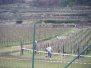 140202.CROSSDELCRUSMemorialRICHETOANZELINIVillaLagarina