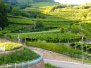 140716.VerticalMonteCoronaVerlaTN