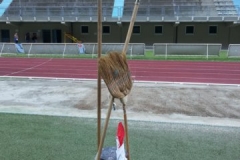 photo8
